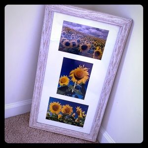 Sunflower 🌻  framed